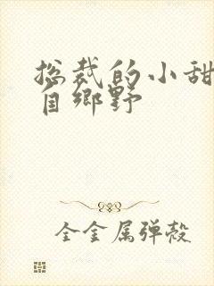 总裁的小甜妻来自乡野封面