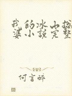 我的冰山总裁老婆小说完整版