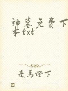 神墓免费下载全本txt