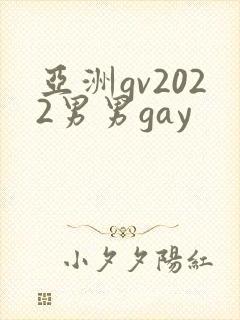 亚洲gv2022男男gay