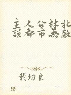 主人公林北的小说都市无敌战神