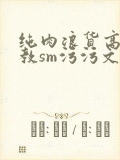 纯肉浪货高h调教sm污污文