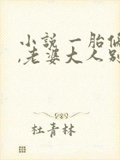 小说 一胎俩宝,老婆大人别想逃