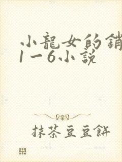 小龙女的销魂夜1一6小说封面