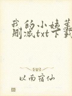 我的小姨叶凡无删减txt下载