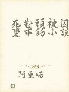 死对头被囚禁后变乖的小说双男