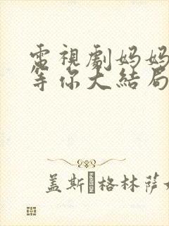 电视剧妈妈在家等你大结局