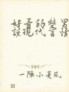 好看的双男主小说现代言情