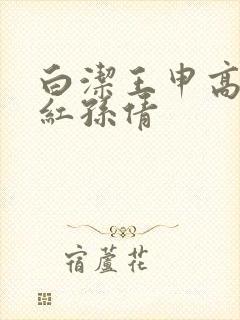 白洁王申高义美红孙倩封面