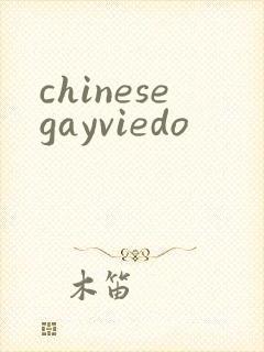 chinesegayviedo