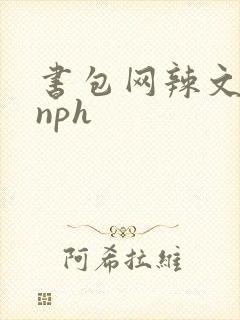书包网辣文古代nph