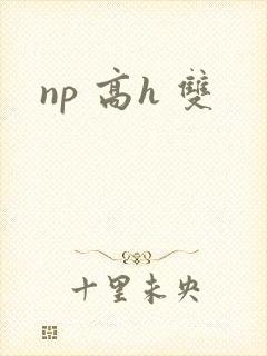 np 高h 双