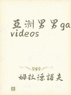 亚洲男男gayvideos