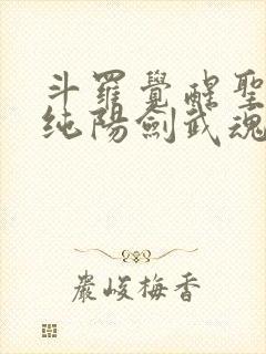斗罗觉醒圣主和纯阳剑武魂