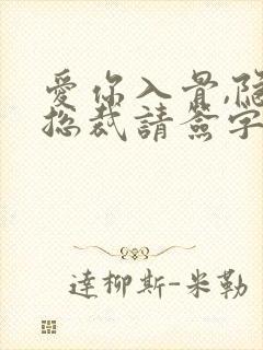 爱你入骨,隐婚总裁请签字封面