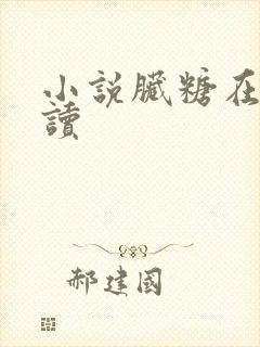 小说脏糖在线阅读