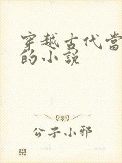 穿越古代当皇帝的小说封面