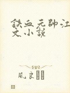铁血元帅江天全文小说封面