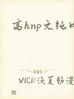 高hnp文纯肉