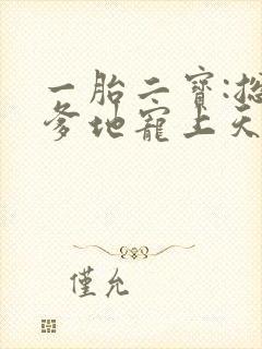 一胎二宝:总裁爹地宠上天