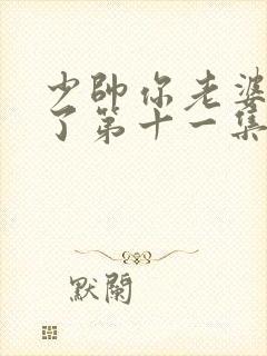 少帅你老婆又跑了第十一集