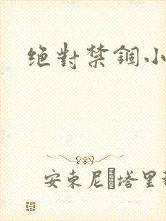 绝对禁锢小说封面