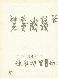 神藏小说笔趣阁免费阅读