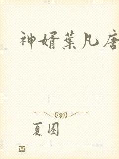神婿叶凡唐若雪
