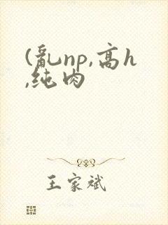 (乱np,高h,纯肉