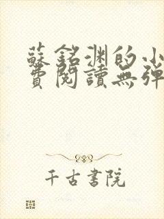 苏铭渊的小说免费阅读无弹窗