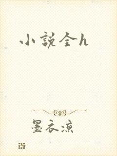 小说全h封面