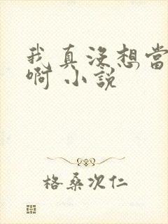 我真没想当皇帝啊 小说