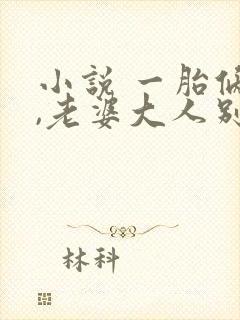 小说 一胎俩宝,老婆大人别想逃