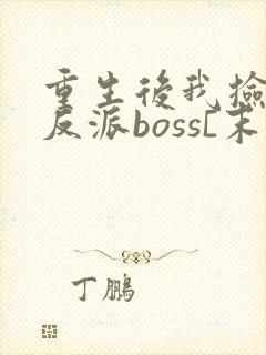 重生后我捡到了反派boss[末世]