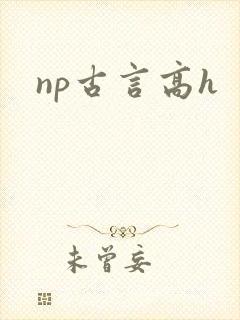 np古言高h