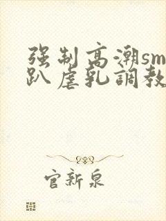 强制高潮sm跪趴虐乳调教文封面