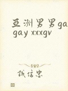 亚洲男男gay gay xxxgv封面
