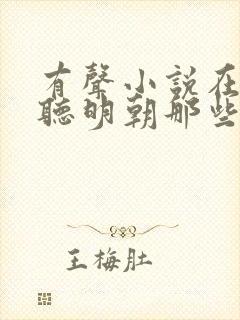 有声小说在线收听明朝那些事儿