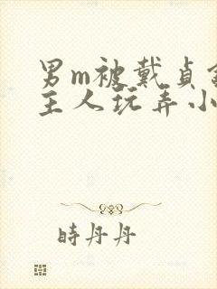 男m被戴贞锁被主人玩弄小说