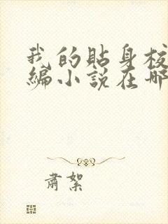 我的贴身校花改编小说在哪里可以阅读