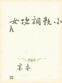 女攻调教小说高h