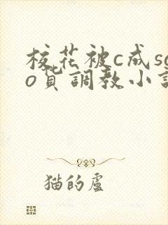 校花被c成sao货调教小说