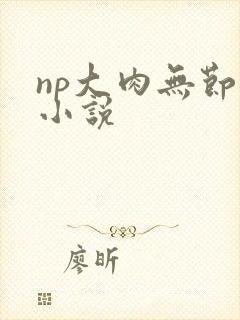 np大肉无节操小说