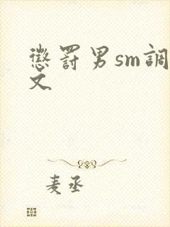 惩罚男sm调教文