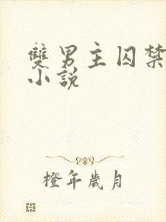 双男主囚禁高h小说