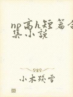 np高h短篇合集小说