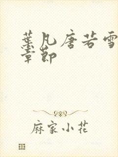 叶凡唐若雪全部章节封面