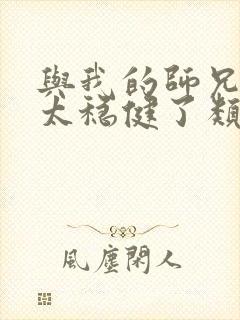 与我的师兄实在太稳健了类似的小说封面