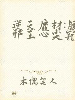 逆天废材:腹黑邪王心尖宠