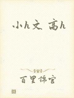 小h文 高h